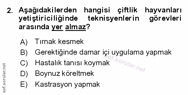 Soru 2