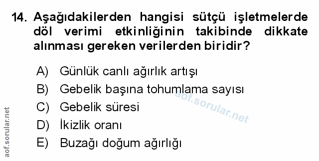 Soru 14
