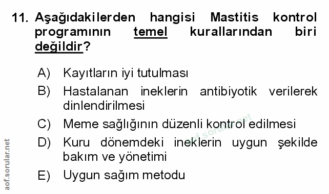 Soru 11