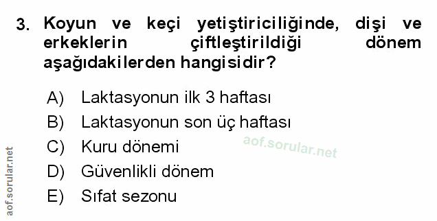 Soru 3