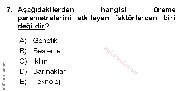 Soru 7