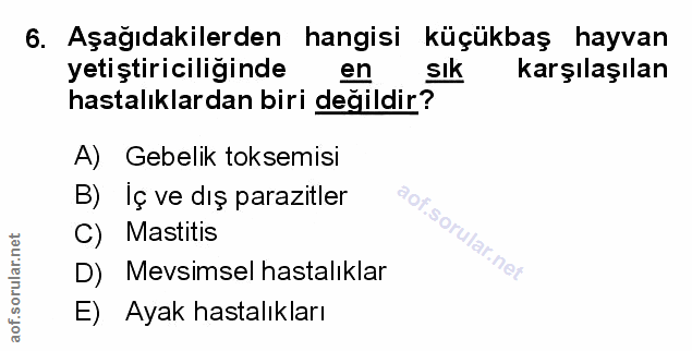 Soru 6