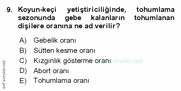 Soru 9