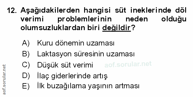 Soru 12