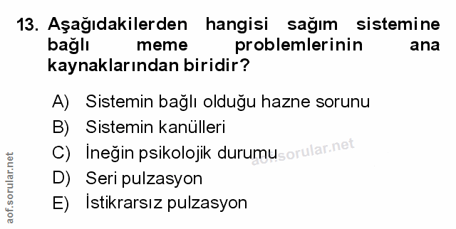 Soru 13
