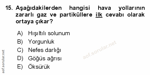 Soru 15