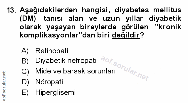 Soru 13