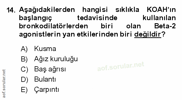 Soru 14