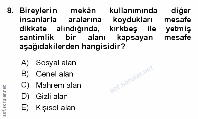 Soru 8