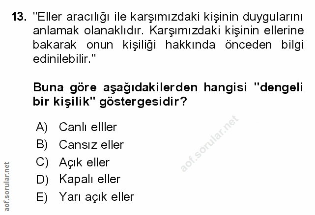 Soru 13