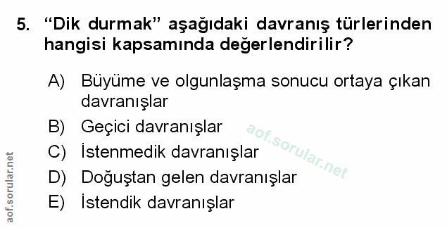 Soru 5