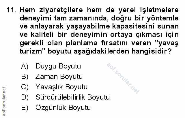 Soru 11