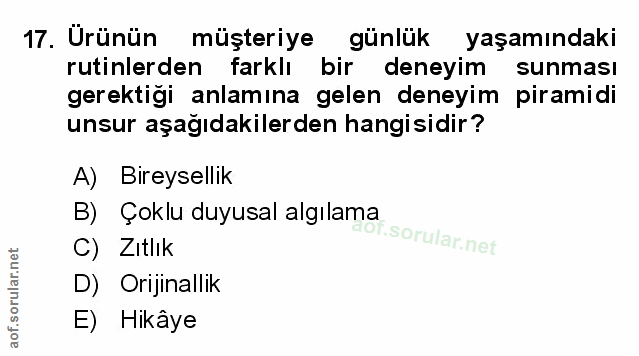 Soru 17