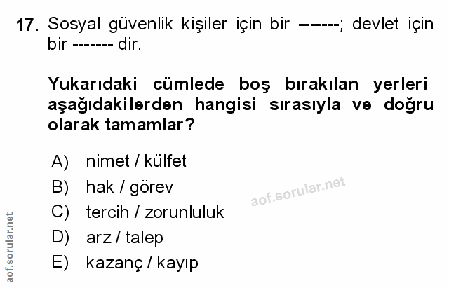 Soru 17
