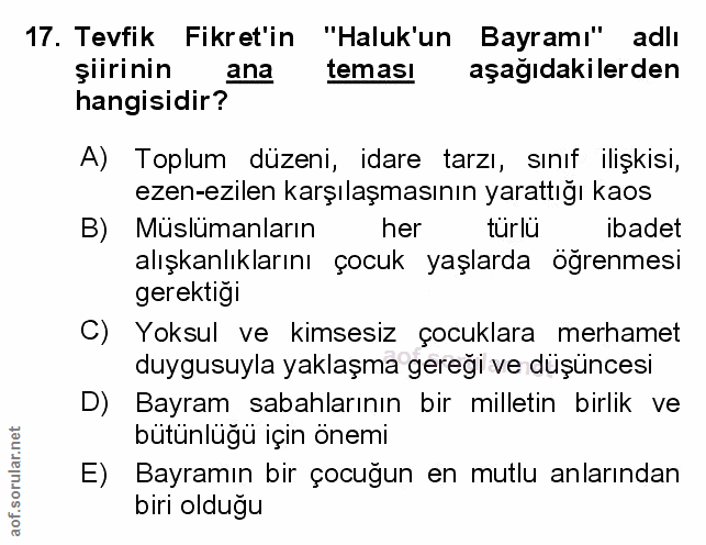 Soru 17