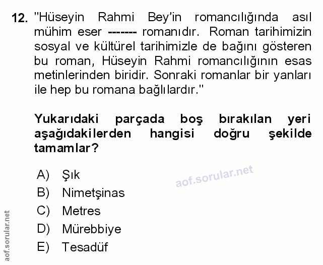 Soru 12
