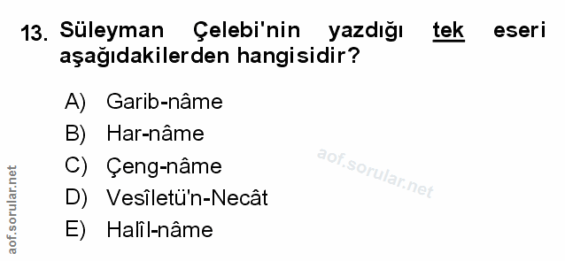 Soru 13