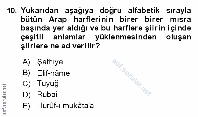 Soru 10