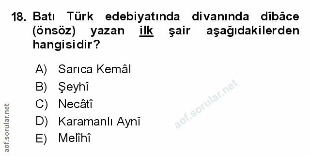 Soru 18