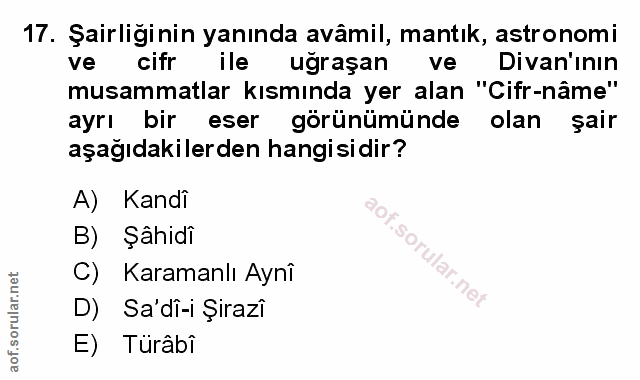 Soru 17