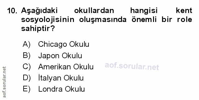 Soru 10