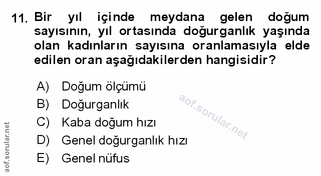 Soru 11