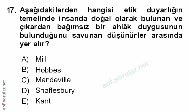 Soru 17