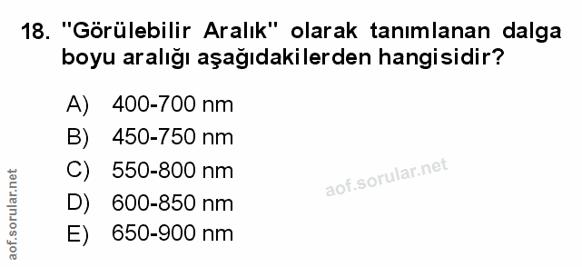 Soru 18