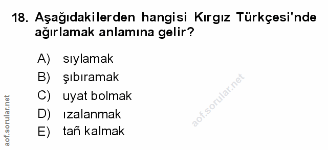 Soru 18