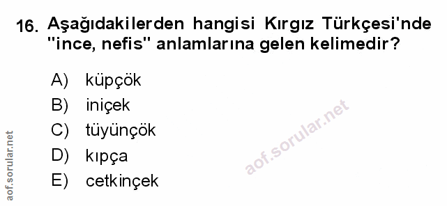 Soru 16