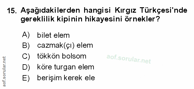 Soru 15