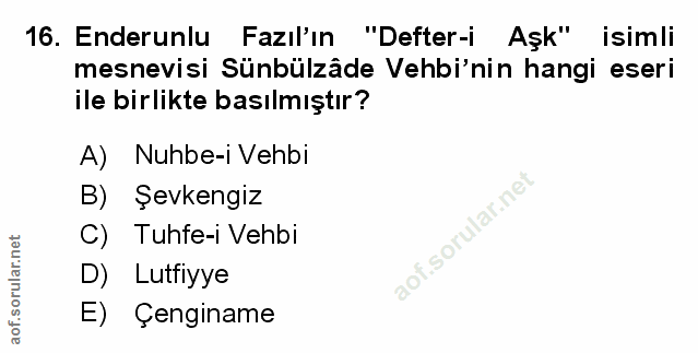 Soru 16