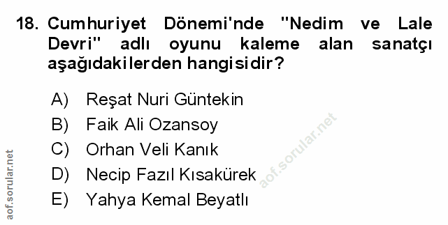 Soru 18