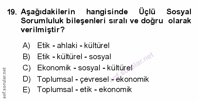 Soru 19