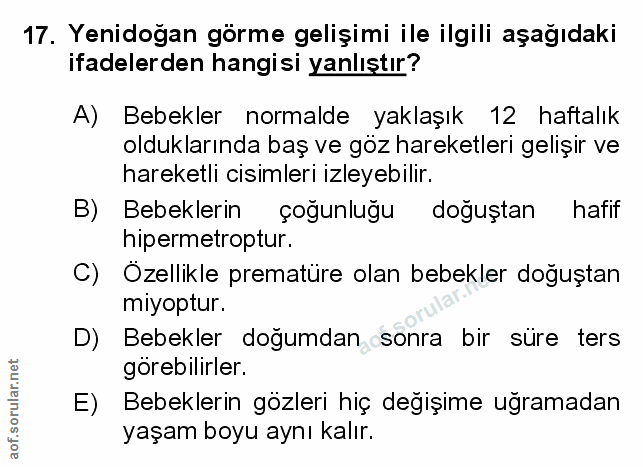 Soru 17