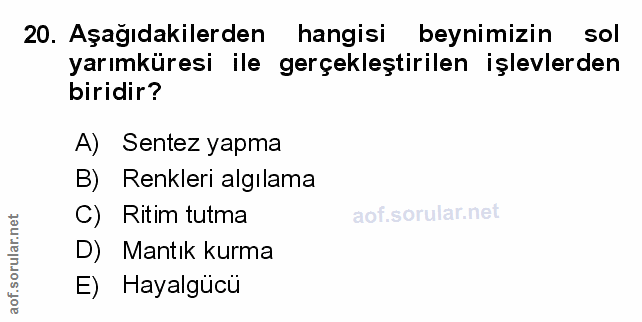 Soru 20