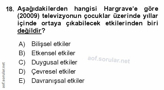 Soru 18