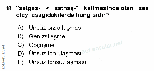 Soru 18