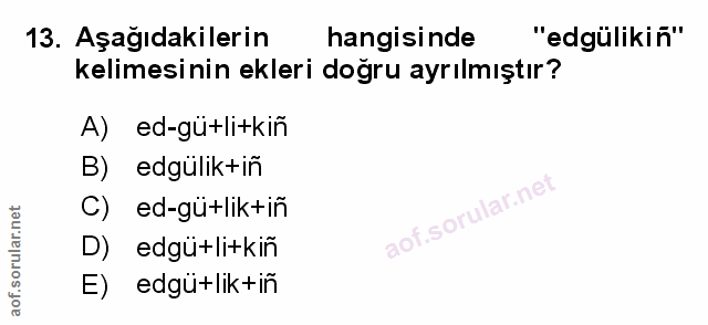 Soru 13