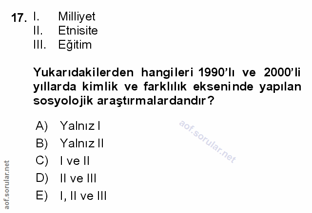 Soru 17