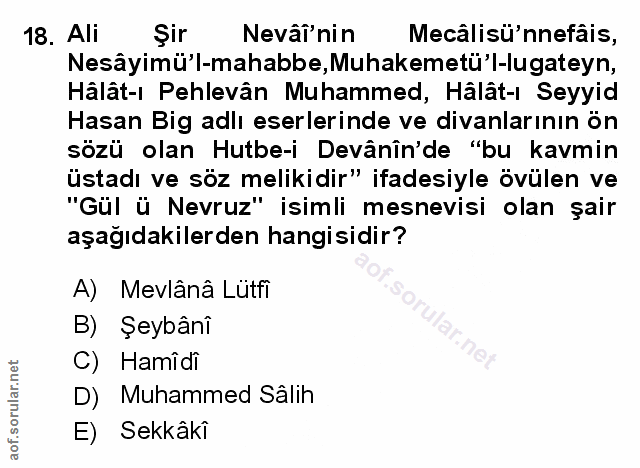 Soru 18