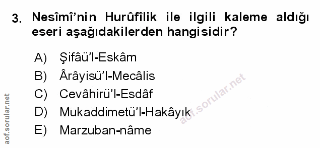 Soru 3