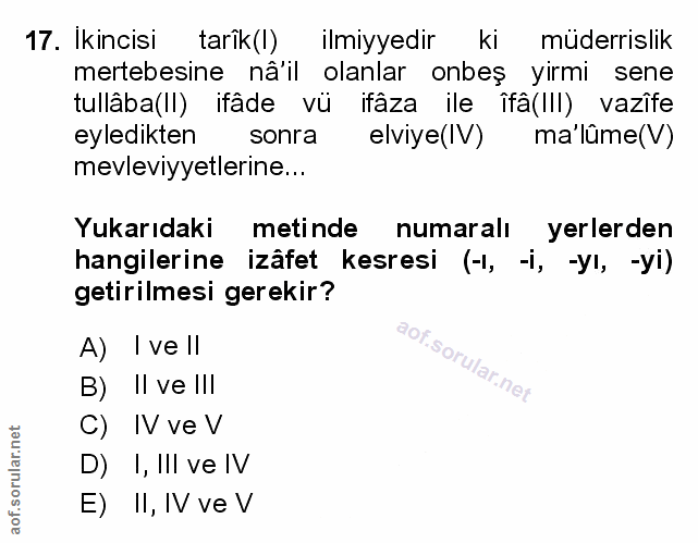 Soru 17