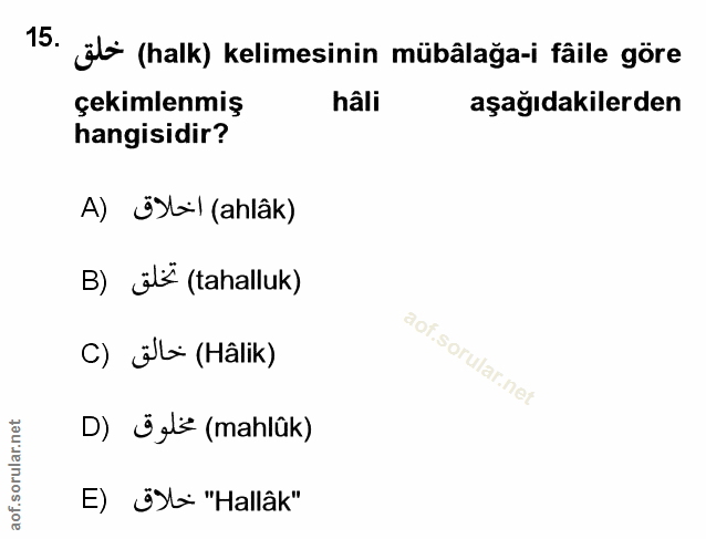 Soru 15
