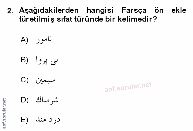 Soru 2