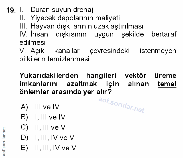 Soru 19
