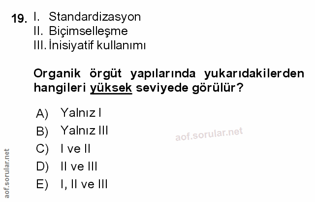 Soru 19