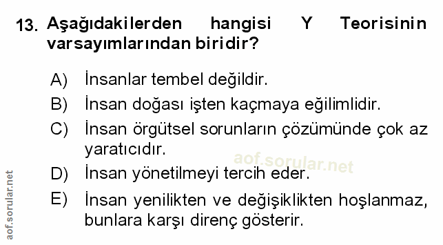 Soru 13