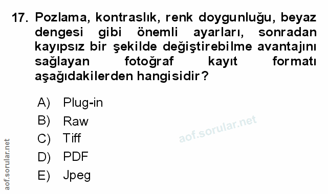 Soru 17