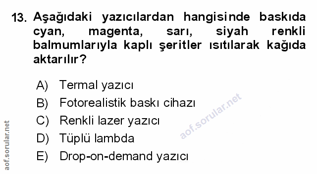 Soru 13